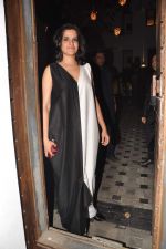 Sona Mohapatra at Imran Khan_s house warming bash in Mumbai on 22nd Dec 2012, 1 (86).JPG